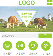 畜牧家禽养殖网站模版