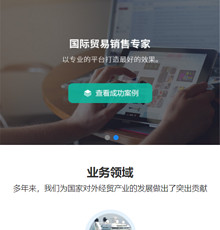 国际贸易网站模版