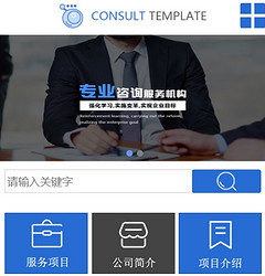 咨询策划小程序模版制作